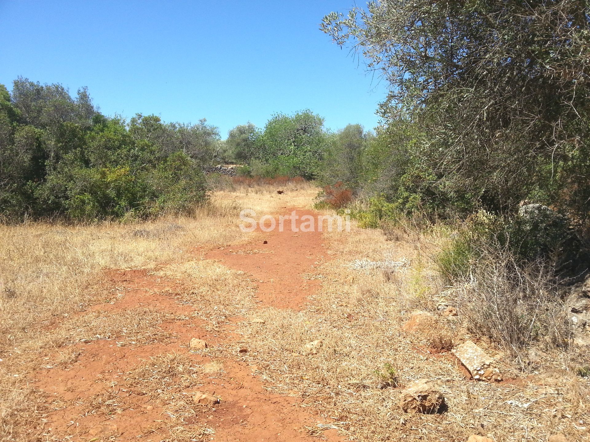 Rustic Land , Algarve, Silves