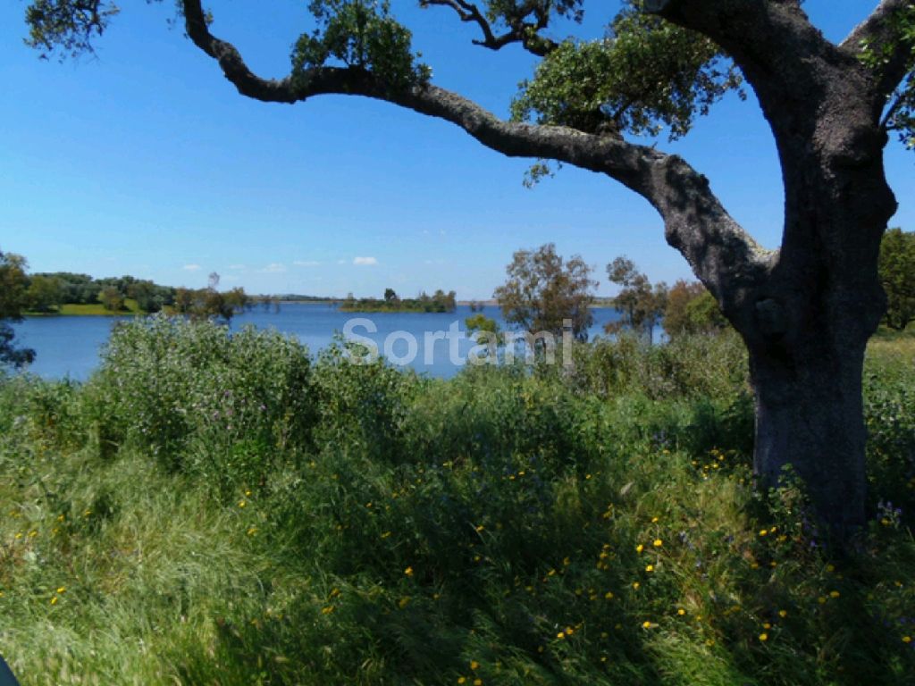Farm T3, Alentejo, Ourique