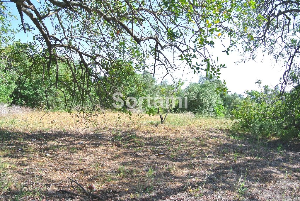 Terreno Para Construção  Algarve, Almancil