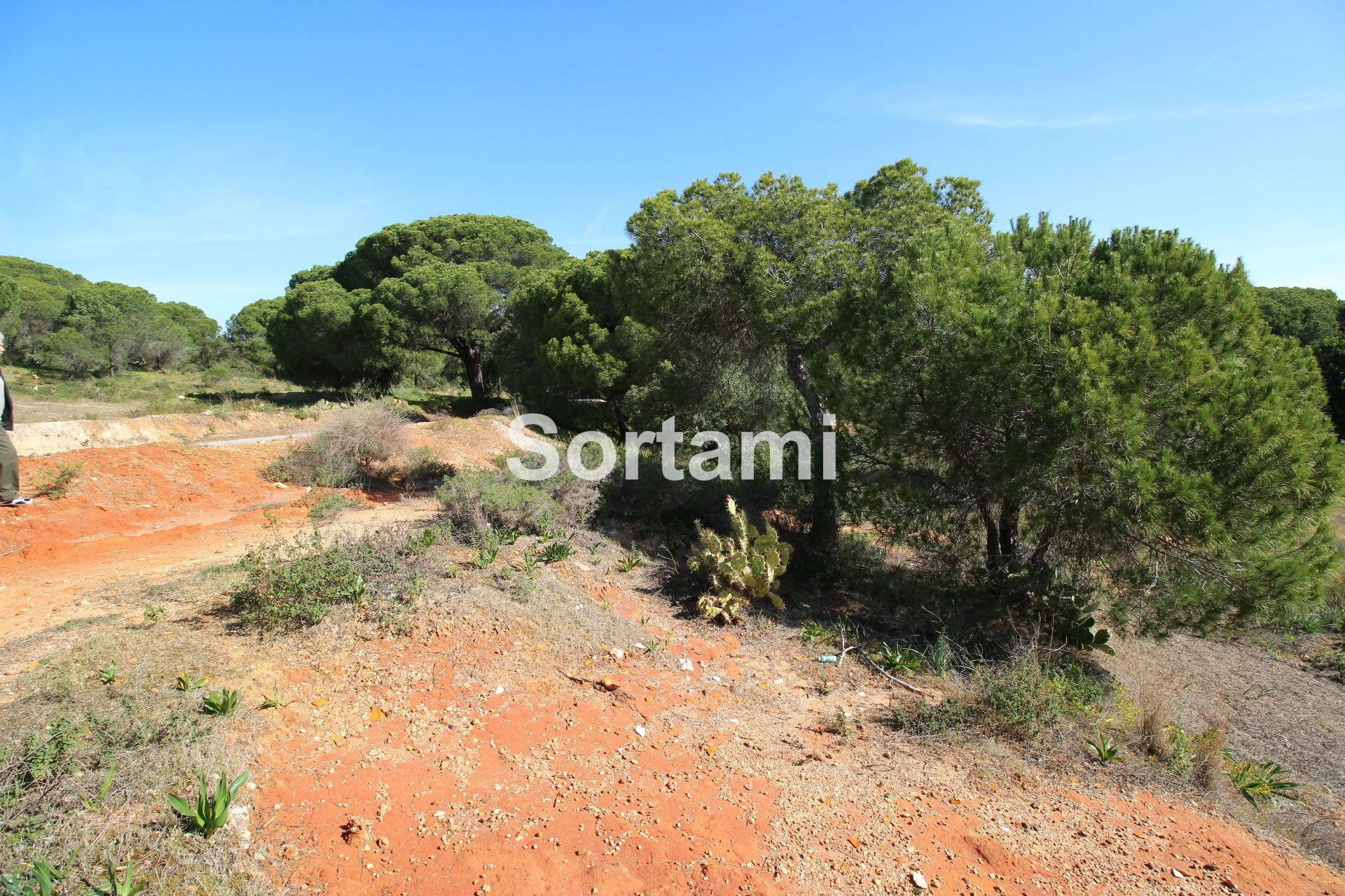 Rustic Land , Almancil