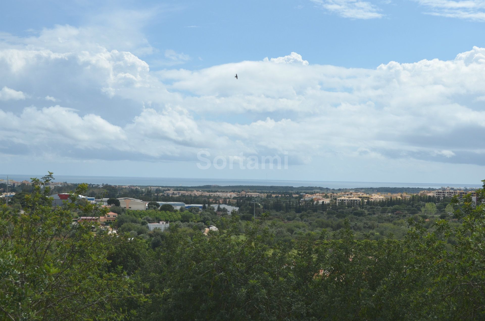 Detached house to restore