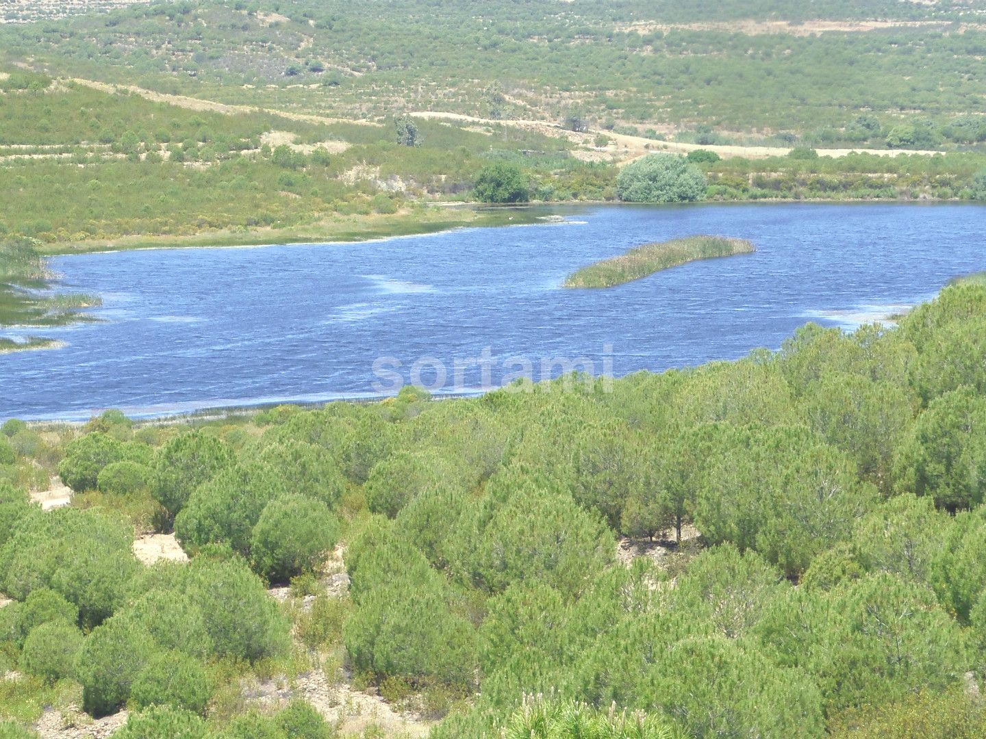 Terreno Rústico  Alentejo, Beja