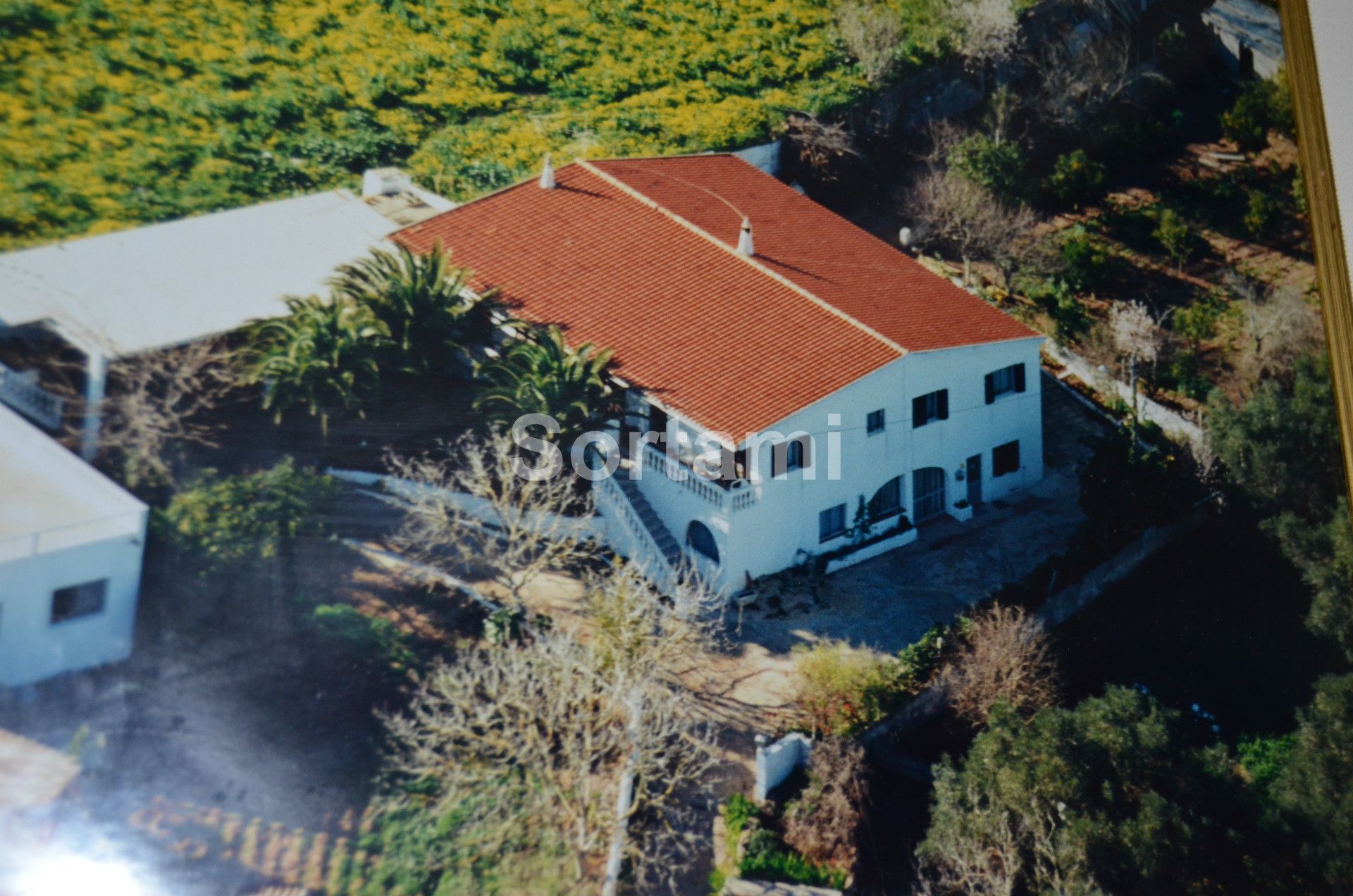 Terreno Rústico  Algarve, São Bartolomeu de Messines