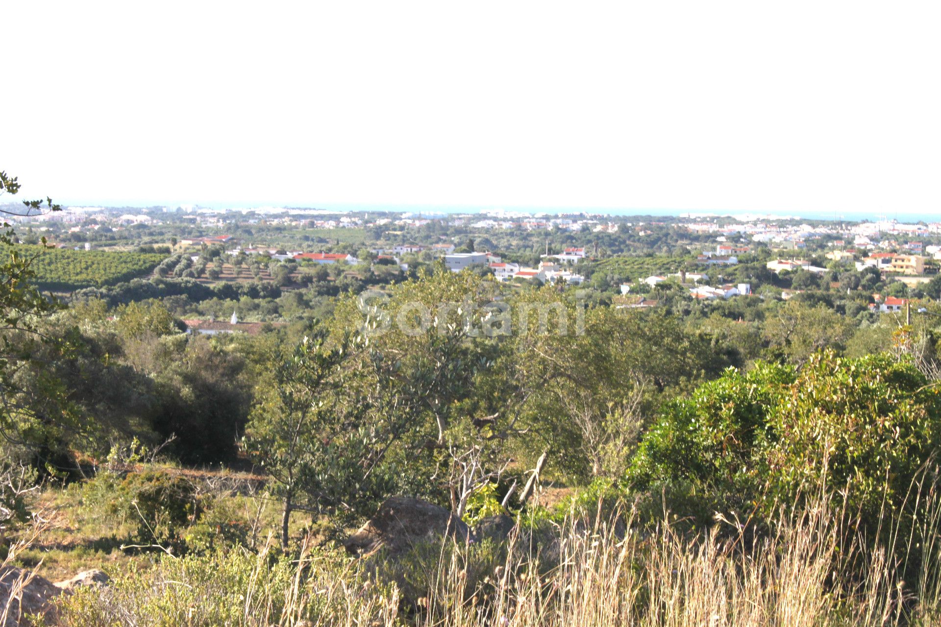 Plot , Algarve, Patã